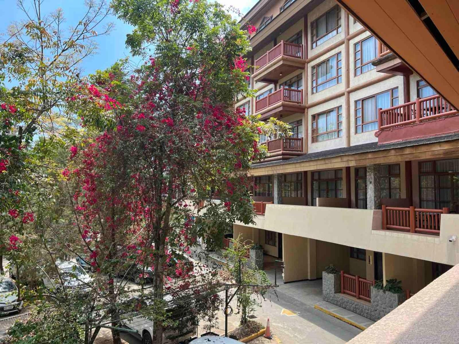 เดอะ ฟอเรสต์ ลอดจ์ แอท แคมป์ จอห์น เฮย์ Aparthotel Baguio City ภายนอก รูปภาพ