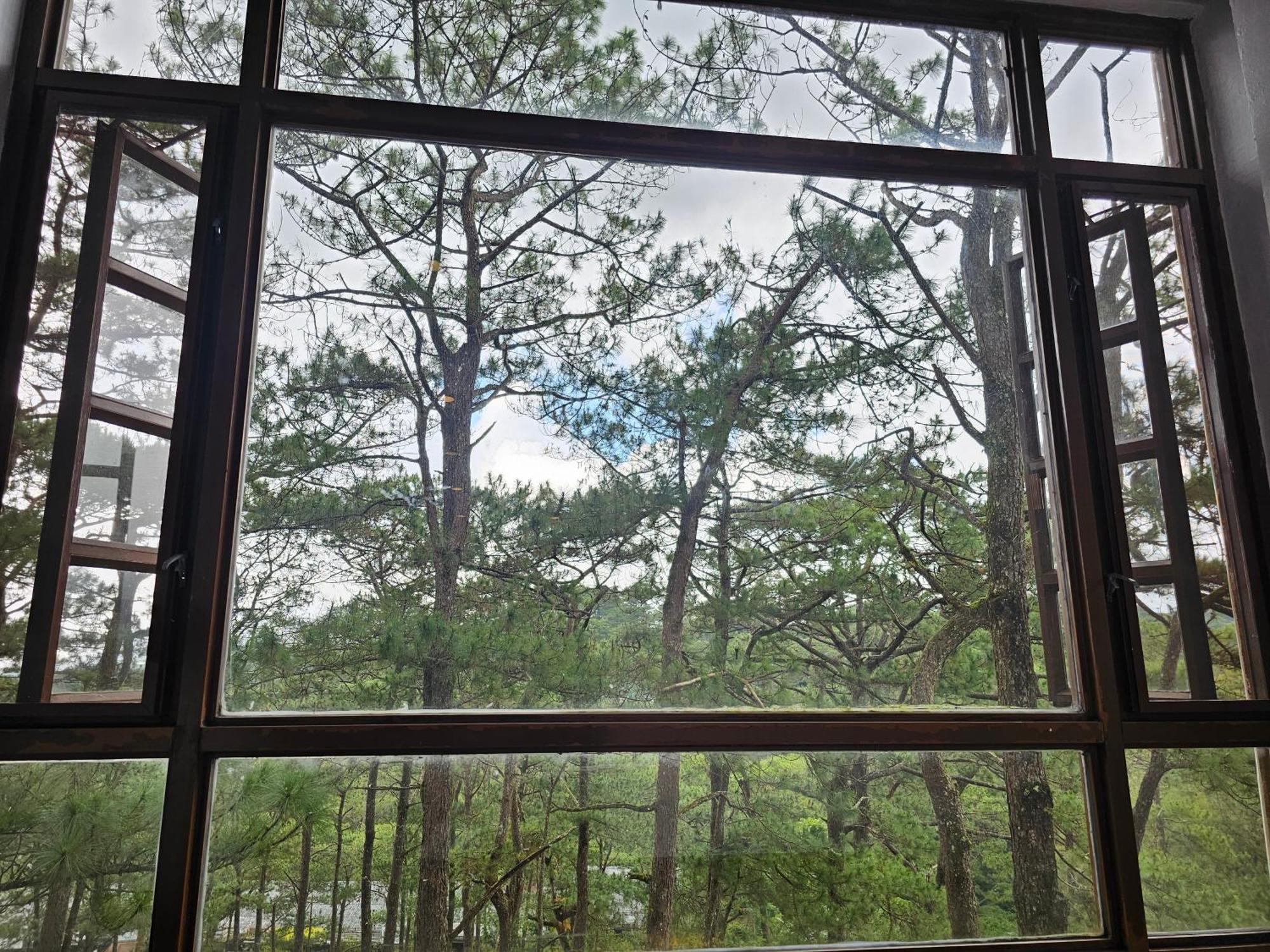 เดอะ ฟอเรสต์ ลอดจ์ แอท แคมป์ จอห์น เฮย์ Aparthotel Baguio City ภายนอก รูปภาพ